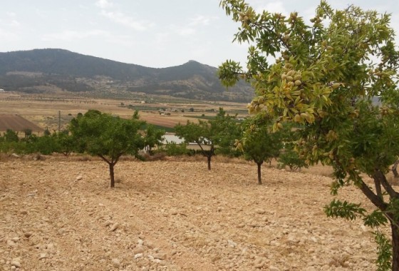 Reventa - Parcela / Terreno - Hondón de las Nieves