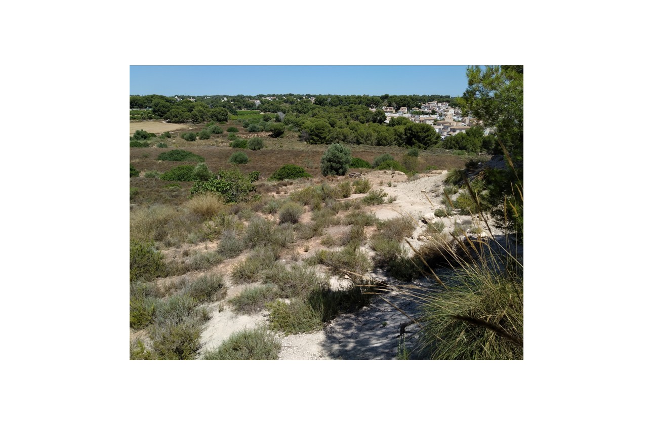 Revente - Parcelle / Terrain - Pinar de Campoverde