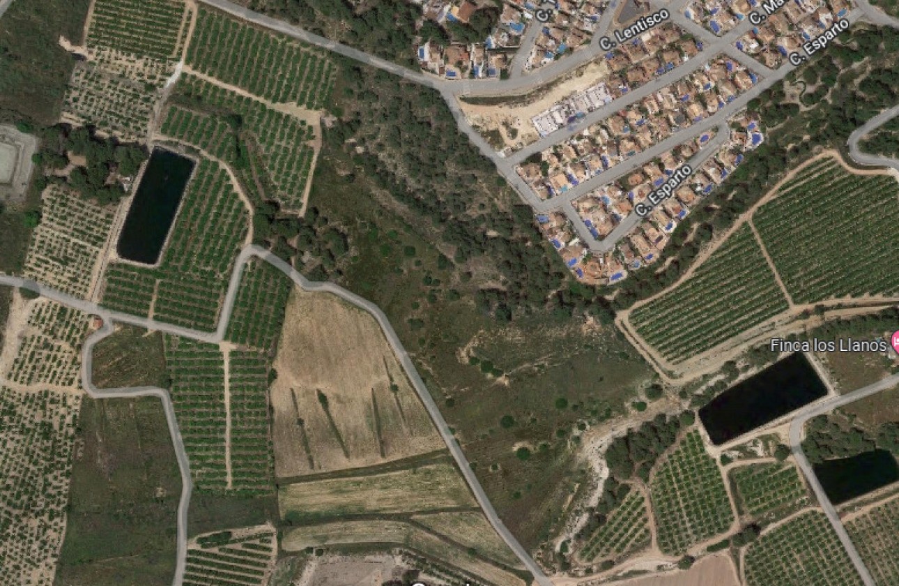 Revente - Parcelle / Terrain - Pinar de Campoverde