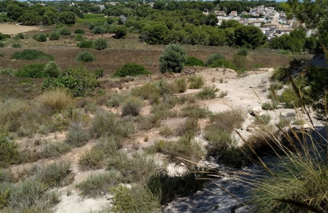 Revente - Parcelle / Terrain - Pinar de Campoverde
