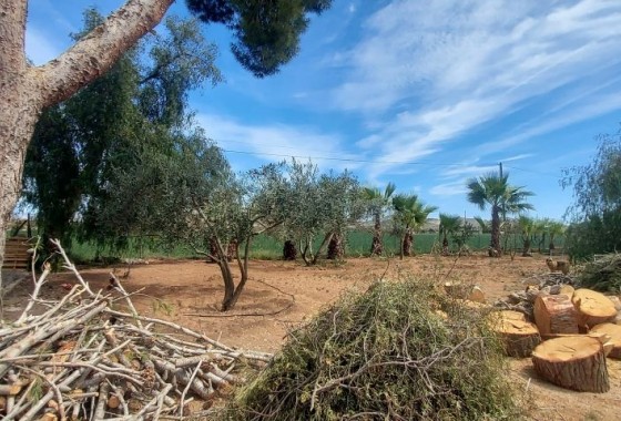 Reventa - Chalet - Hondón de las Nieves