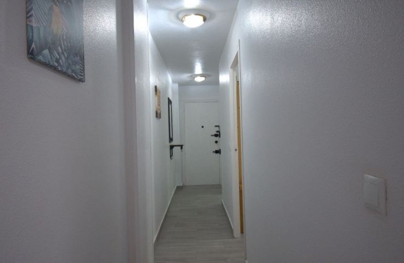 Reventa - Apartamento / piso - Torrevieja - torrevieja