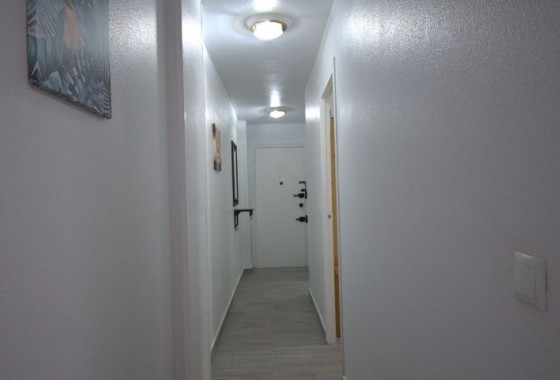 Reventa - Apartamento / piso - Torrevieja - torrevieja