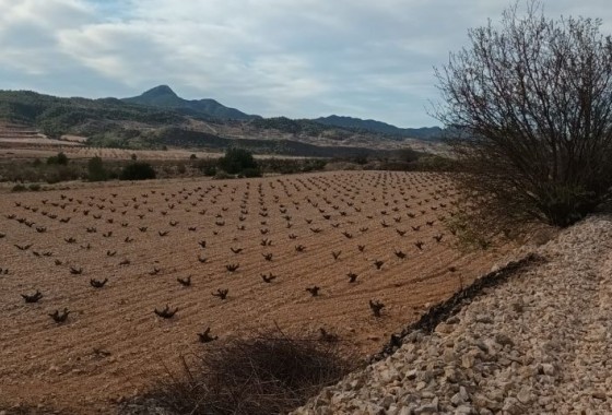 Resale - Plot / Land - Murcia