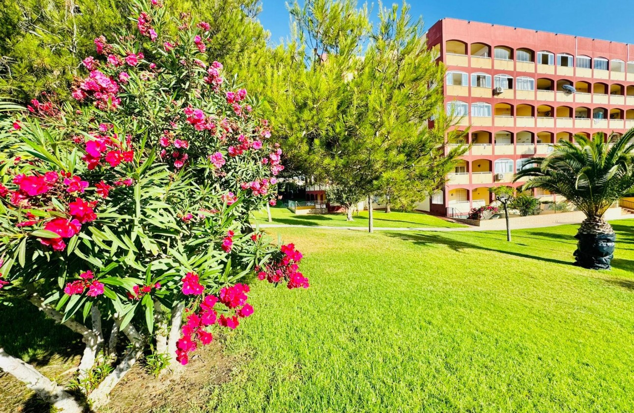 Reventa - Apartamento / piso - Torrevieja - LA MATA