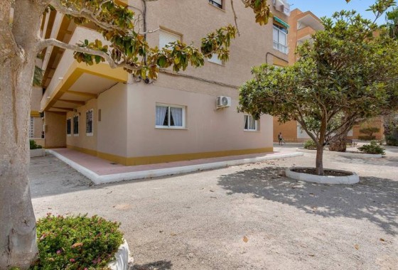 Resale - Ground Floor Apartment - Guardamar del Segura - Pinomar