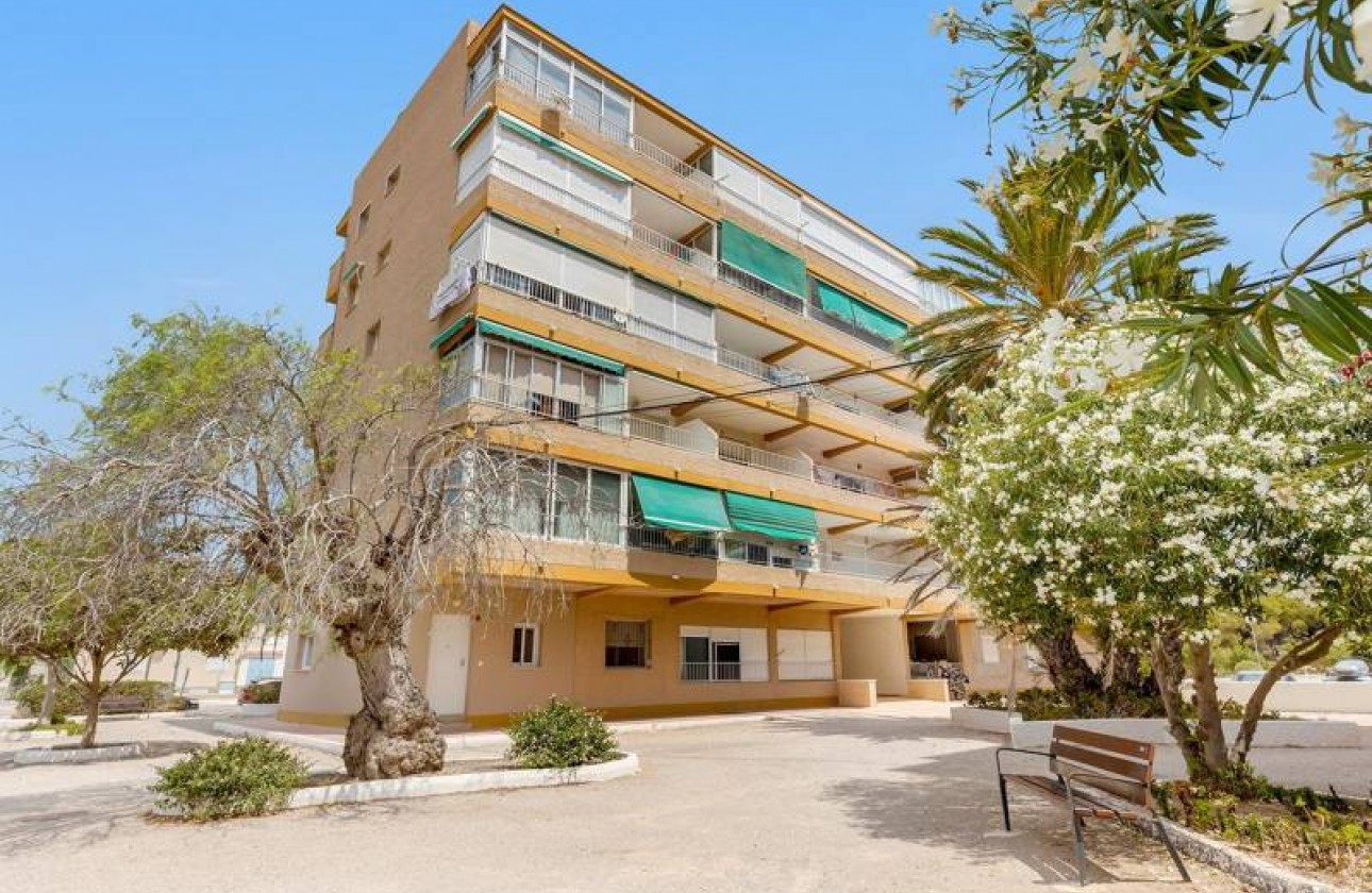 Resale - Ground Floor Apartment - Guardamar del Segura - Pinomar