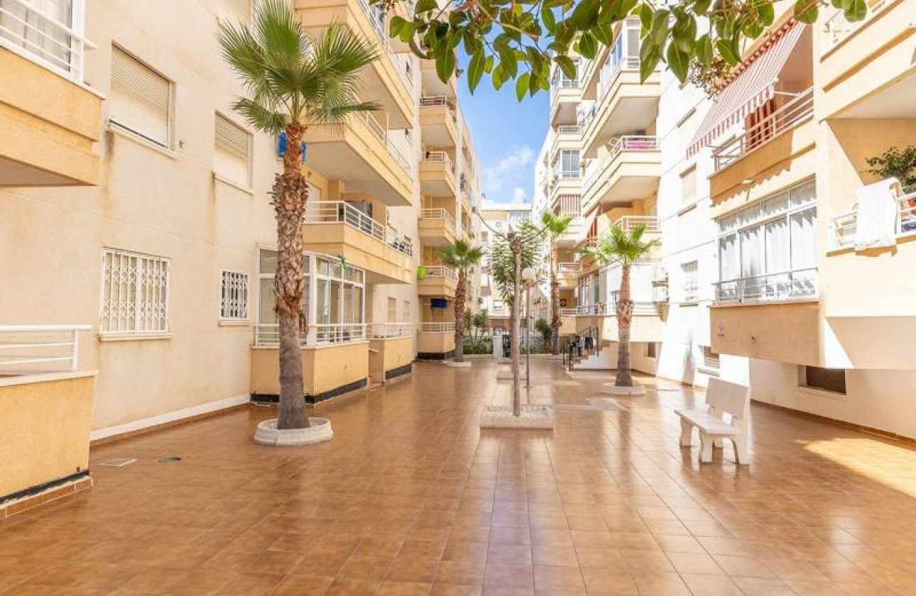 Reventa - Apartamento / piso - Torrevieja - Estacion de autobuses