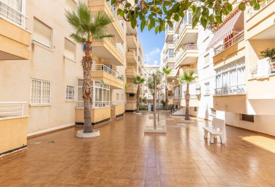 Resale - Apartment / flat - Torrevieja - Estacion de autobuses