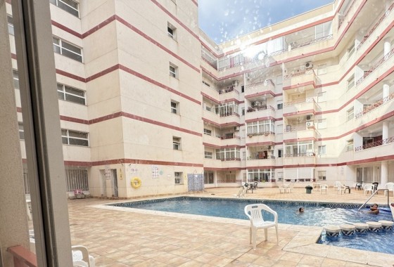 Reventa - Apartamento / piso - Torrevieja - torrevieja