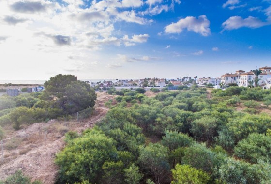 New Build - Apartment / flat - Orihuela Costa - Playa Flamenca