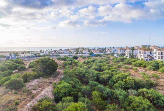 New Build - Apartment / flat - Orihuela Costa - Playa Flamenca