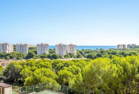 Reventa - Apartamento / piso - Orihuela Costa - Altos de Campoamor