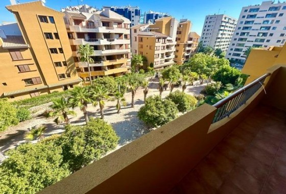 Reventa - Apartamento / piso - Torrevieja - Punta prima