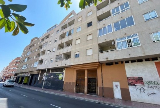 Reventa - Apartamento / piso - Torrevieja - torrevieja