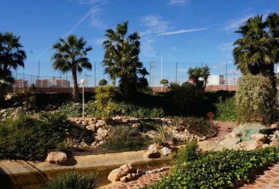 Resale - Penthouse - Orihuela Costa - Playa Flamenca