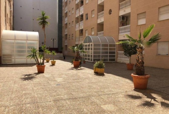 Resale - Apartment / flat - Torrevieja - Estacion de autobuses