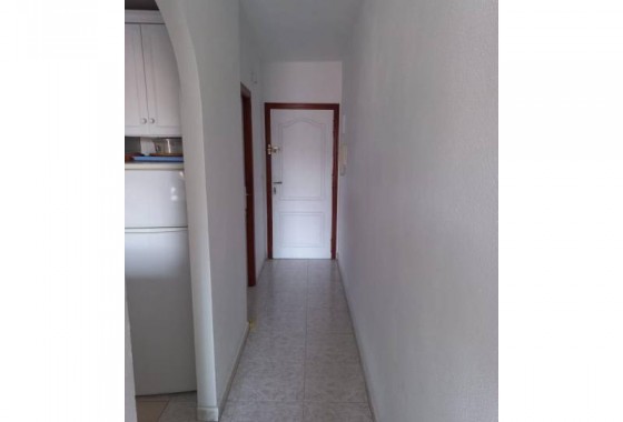 Revente - Appartement - Torrevieja - Estacion de autobuses