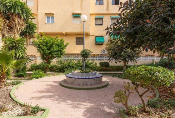 Resale - Apartment / flat - Torrevieja - LA MATA