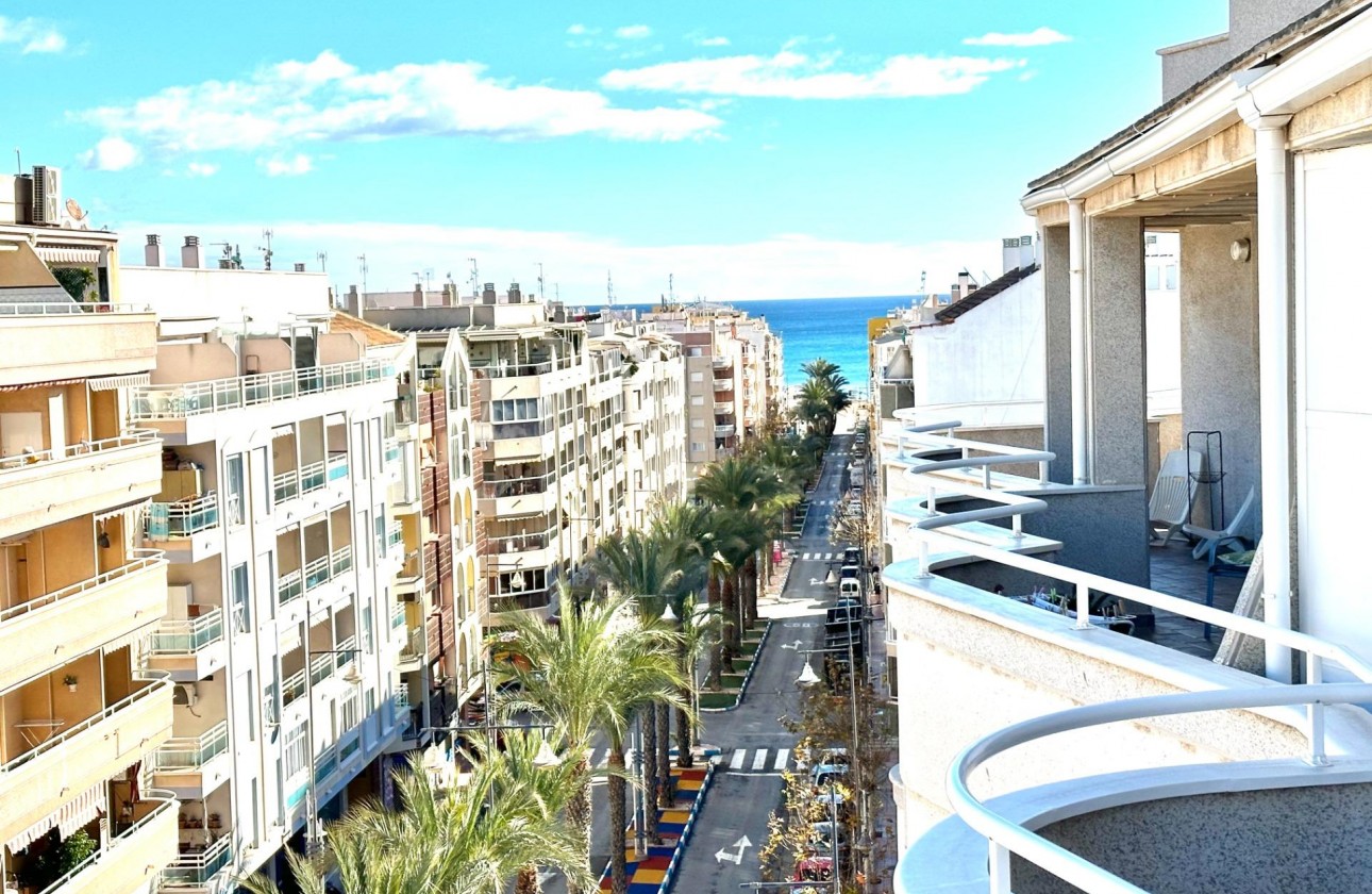 Long Term Rental - Apartment / flat - Torrevieja - Habaneras