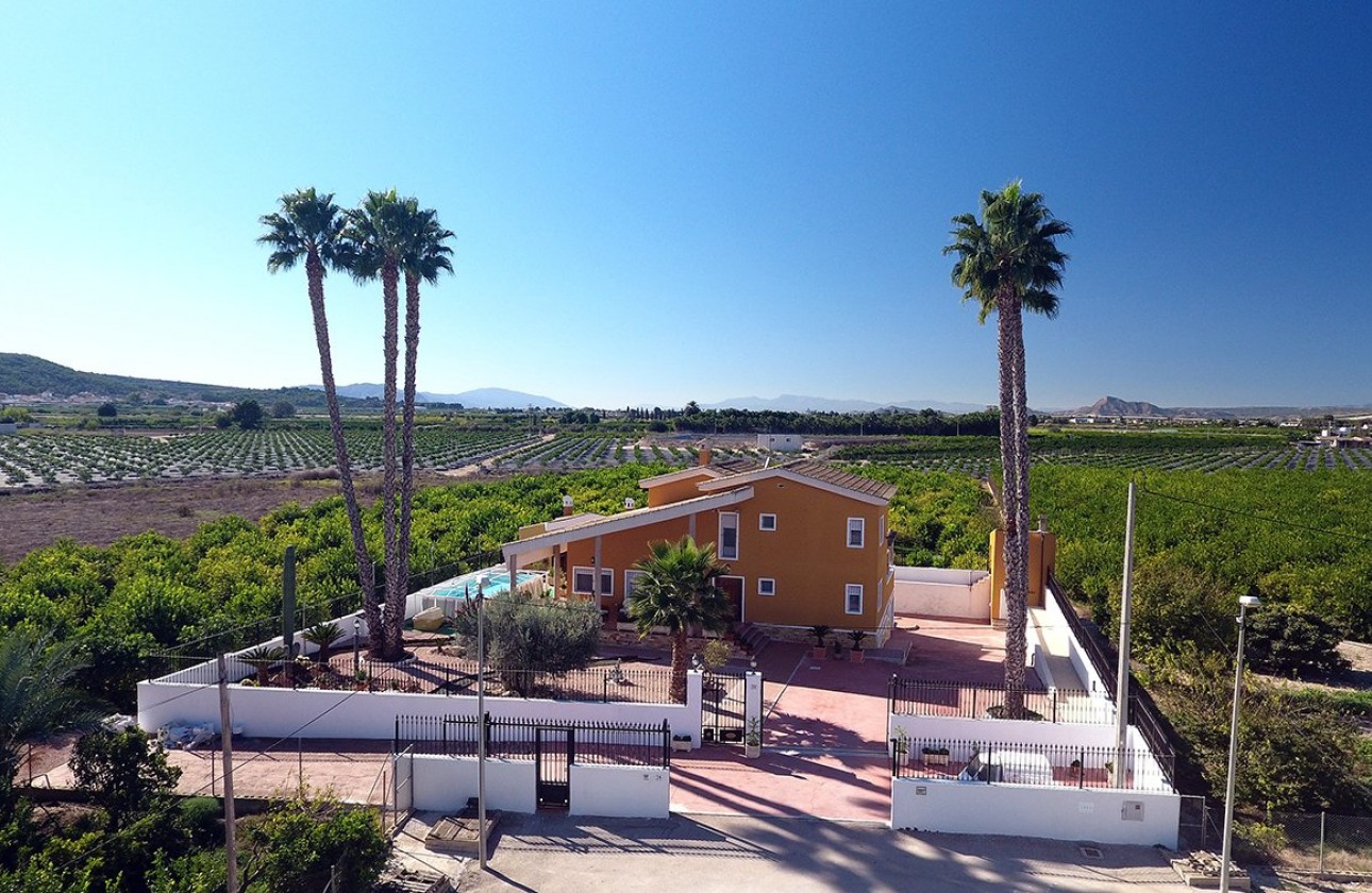 Reventa - Finca - Orihuela