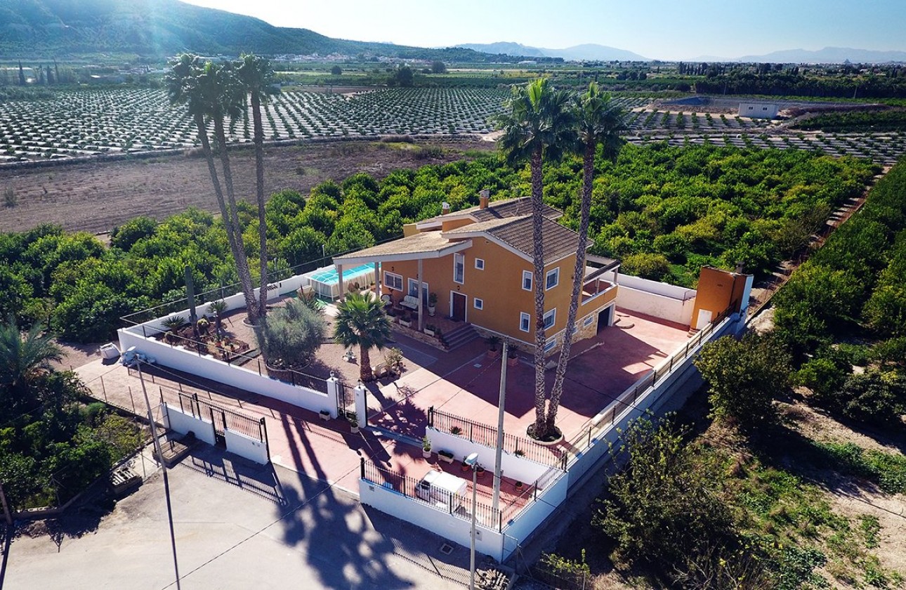 Reventa - Finca - Orihuela