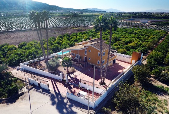 Reventa - Finca - Orihuela