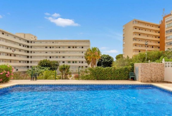 Revente - Duplex Penthouse - Torrevieja - Torre la mata