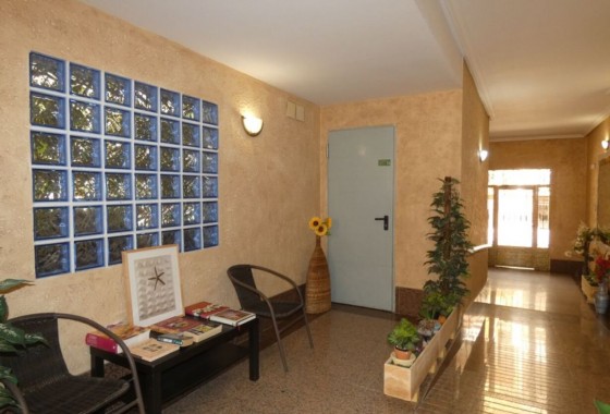 Reventa - Apartamento / piso - Algorfa