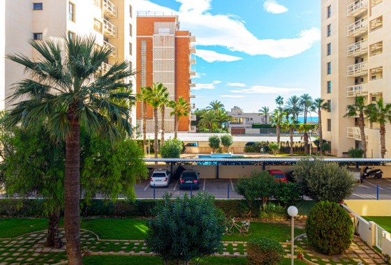 Resale - Apartment / flat - Torrevieja - La veleta