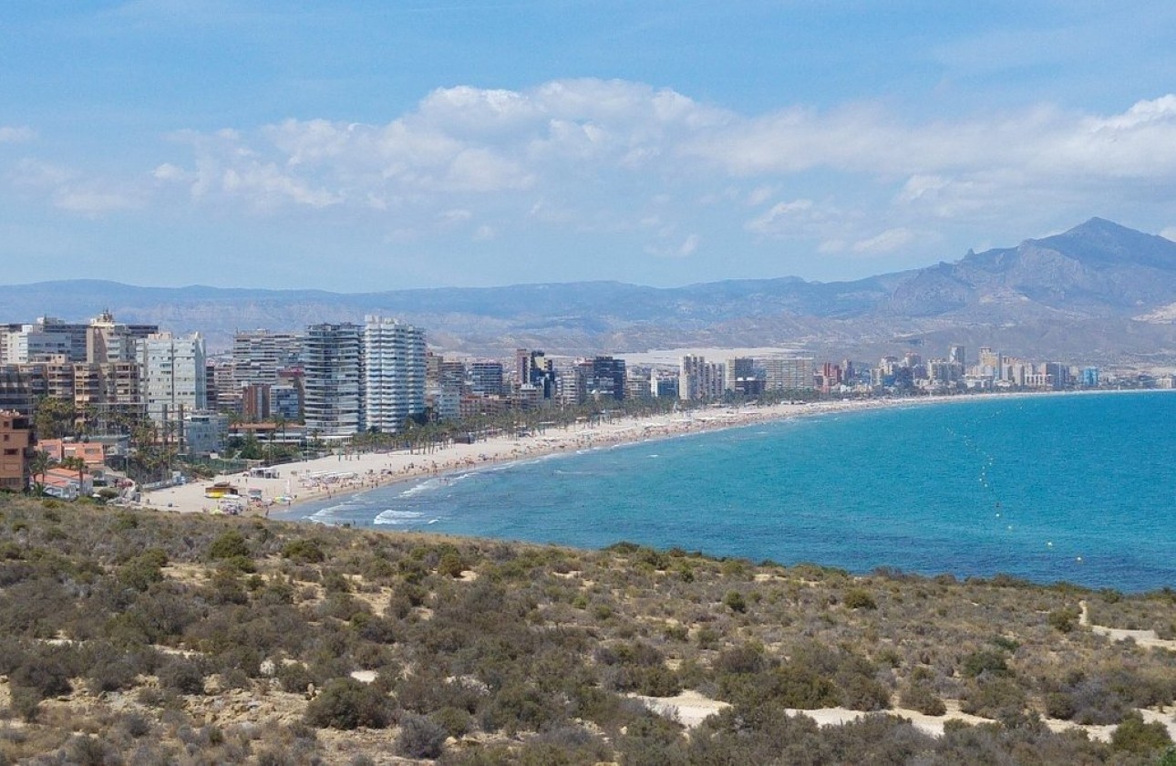 New Build - Apartment / flat - San Juan Alicante - Fran espinos