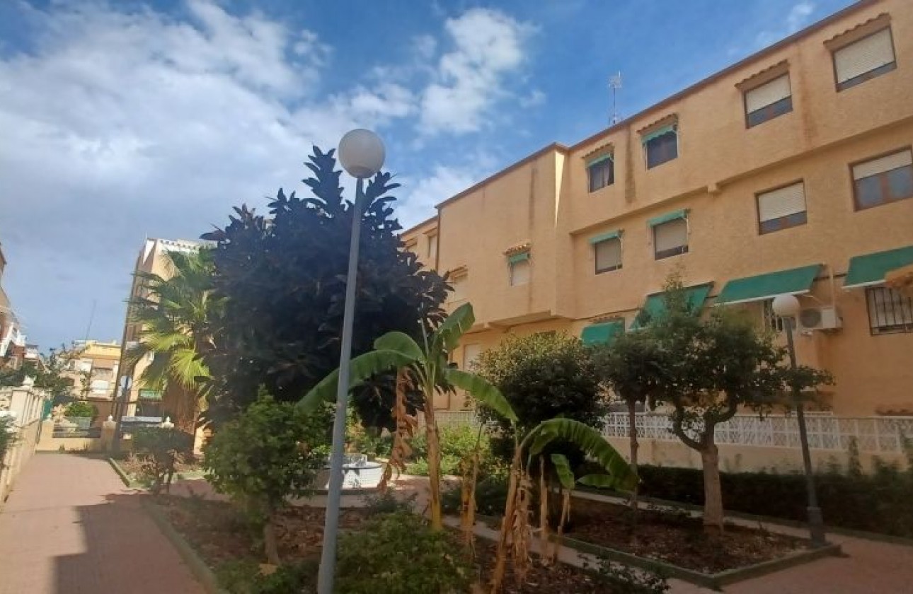 Revente - Bungalow - Torrevieja - torrevieja