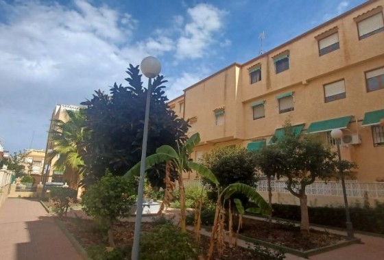 Revente - Bungalow - Torrevieja - torrevieja