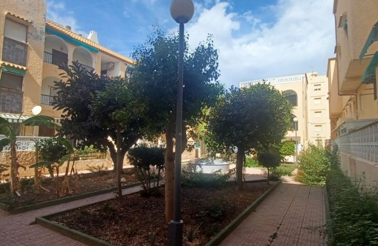 Revente - Bungalow - Torrevieja - torrevieja