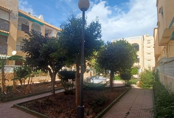 Revente - Bungalow - Torrevieja - torrevieja