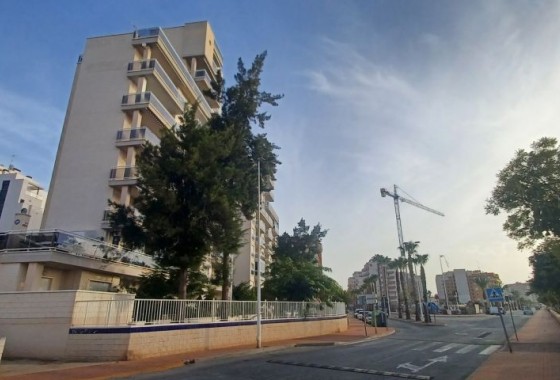 Reventa - Apartamento / piso - Guardamar del Segura - guardamar del segura