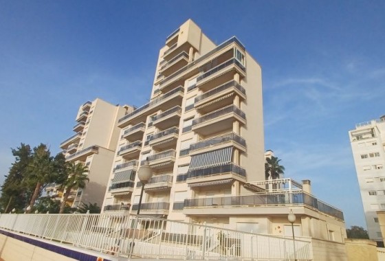 Reventa - Apartamento / piso - Guardamar del Segura - guardamar del segura