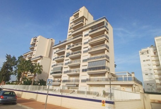 Reventa - Apartamento / piso - Guardamar del Segura - guardamar del segura