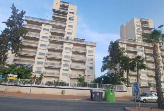 Reventa - Apartamento / piso - Guardamar del Segura - guardamar del segura