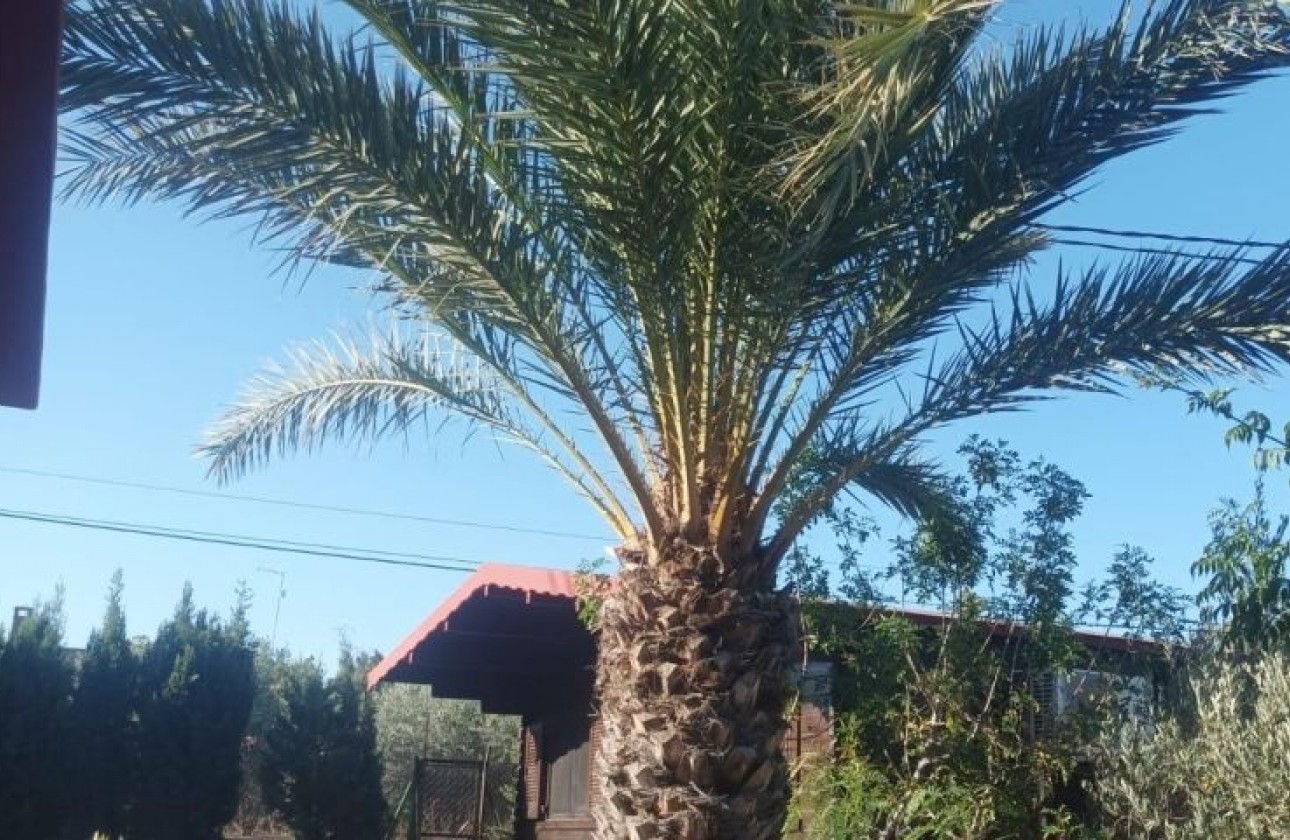 Reventa - Chalet - Elche