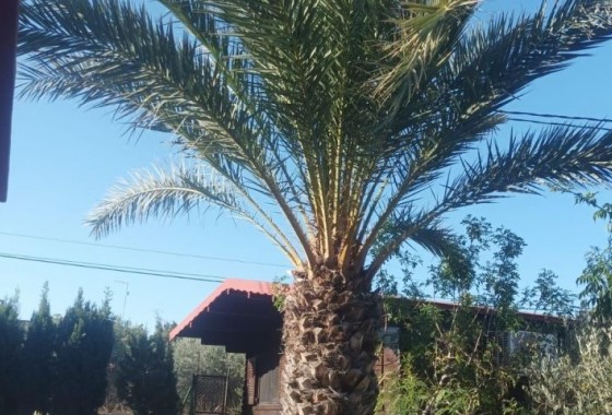 Reventa - Chalet - Elche