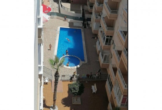 Reventa - Apartamento / piso - Torrevieja