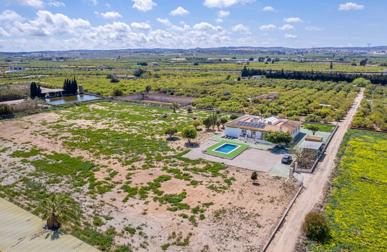 Resale - Villa - Los Montesinos - LOS MONTESINOS