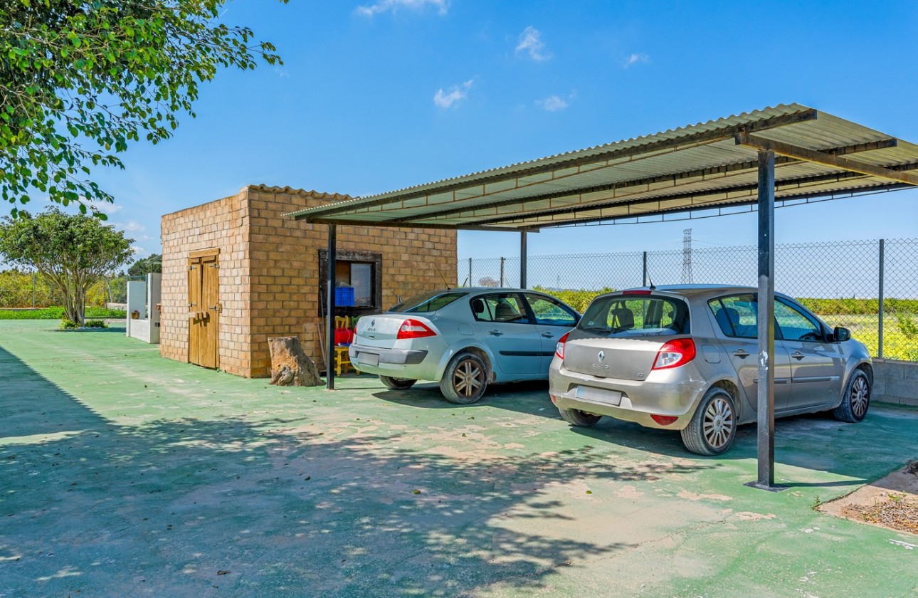 Resale - Villa - Los Montesinos - LOS MONTESINOS
