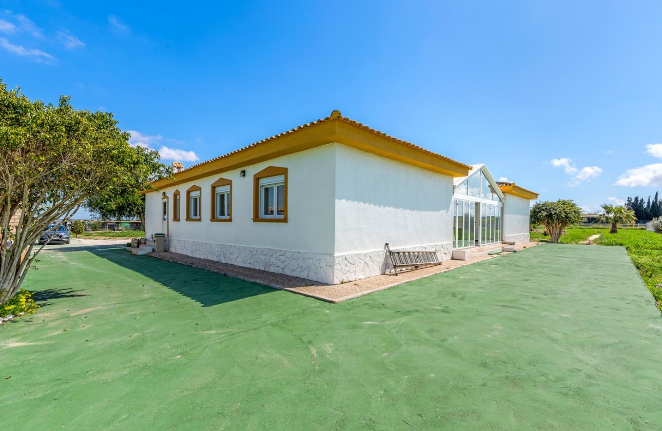 Resale - Villa - Los Montesinos - LOS MONTESINOS