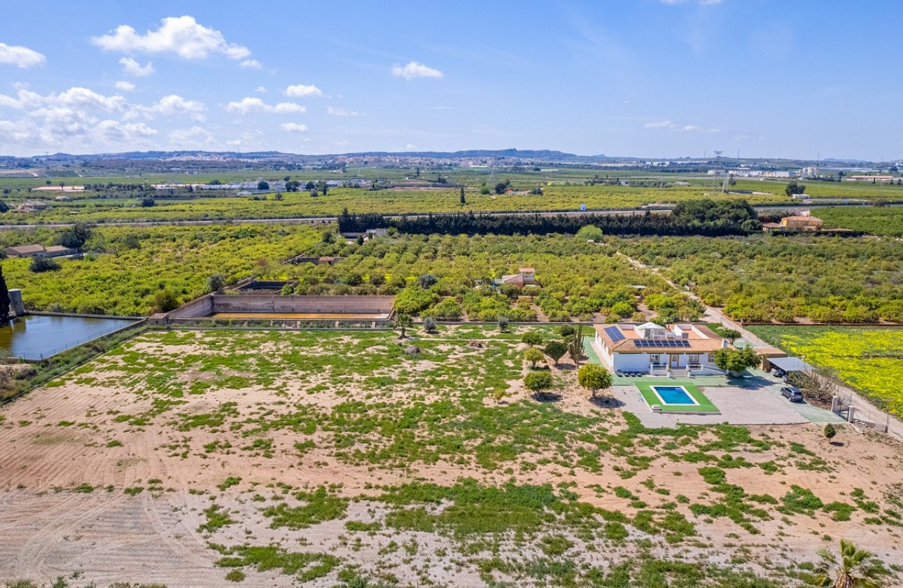 Resale - Villa - Los Montesinos - LOS MONTESINOS