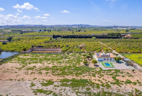 Resale - Villa - Los Montesinos - LOS MONTESINOS