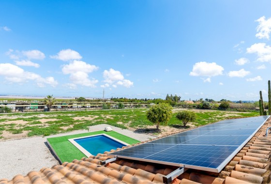 Resale - Villa - Los Montesinos - LOS MONTESINOS