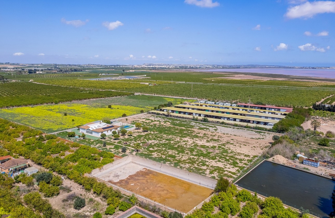 Resale - Villa - Los Montesinos - LOS MONTESINOS