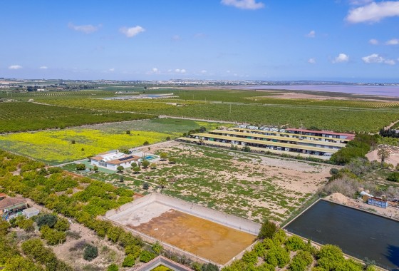 Resale - Villa - Los Montesinos - LOS MONTESINOS